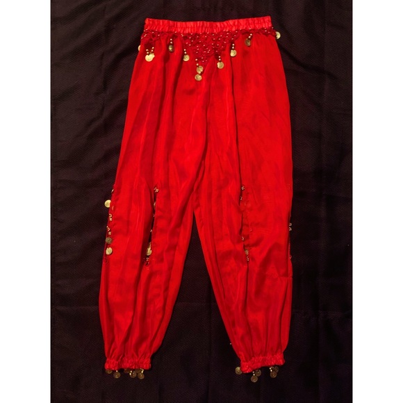 Custom Belly Dancer Costume Women’s Small - Picture 2 of 2